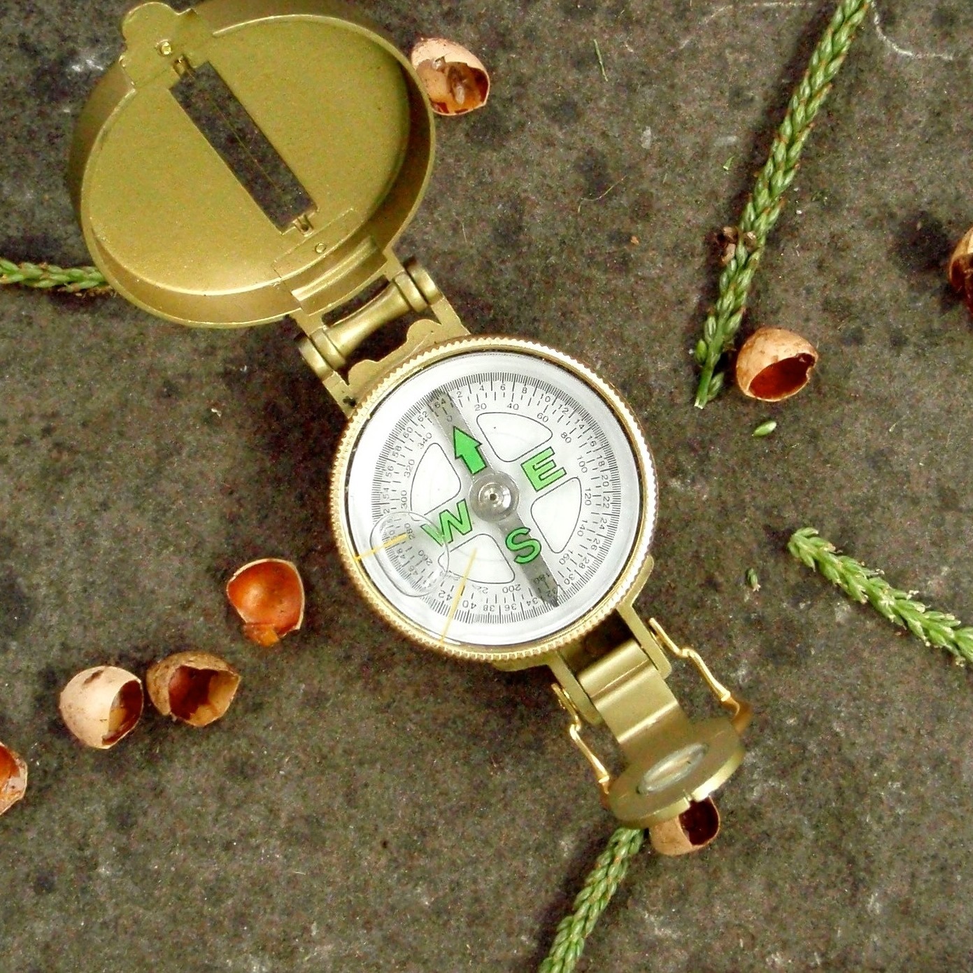 Lighting Up Solstice! - logo